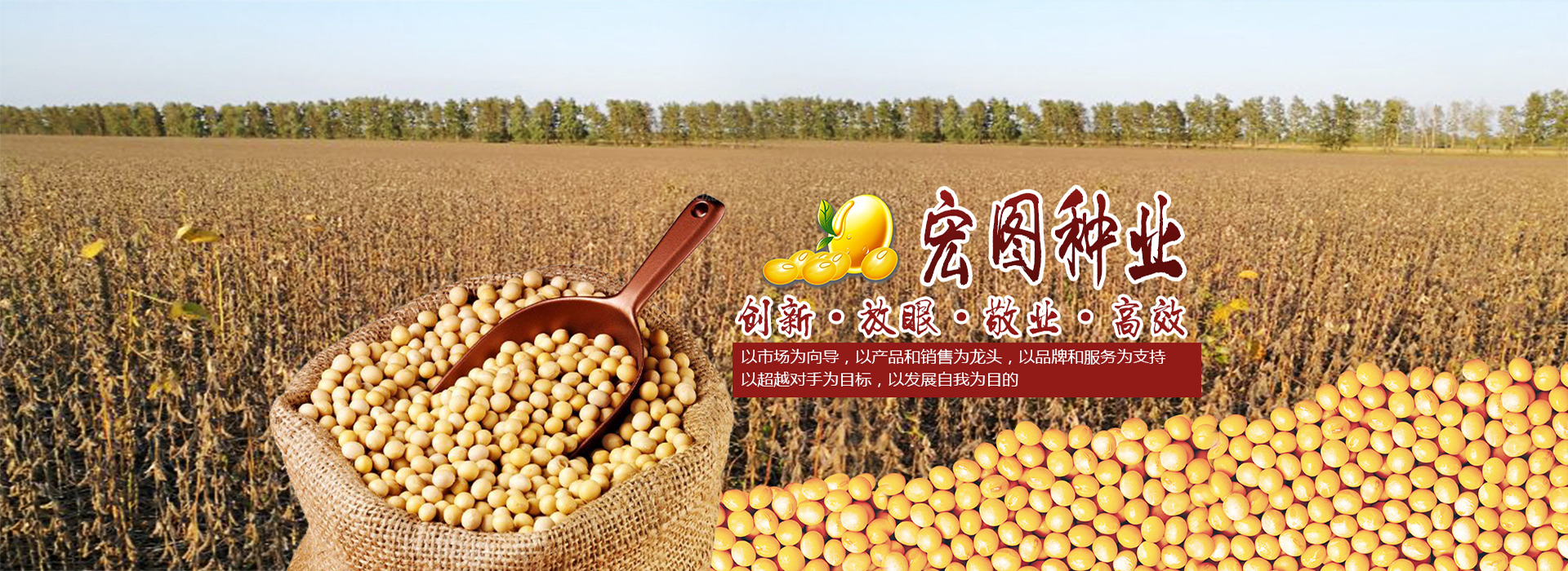 jpg沈阳市先锋大豆种子有限公司龙达五号大豆种子简介黑河53大豆种子